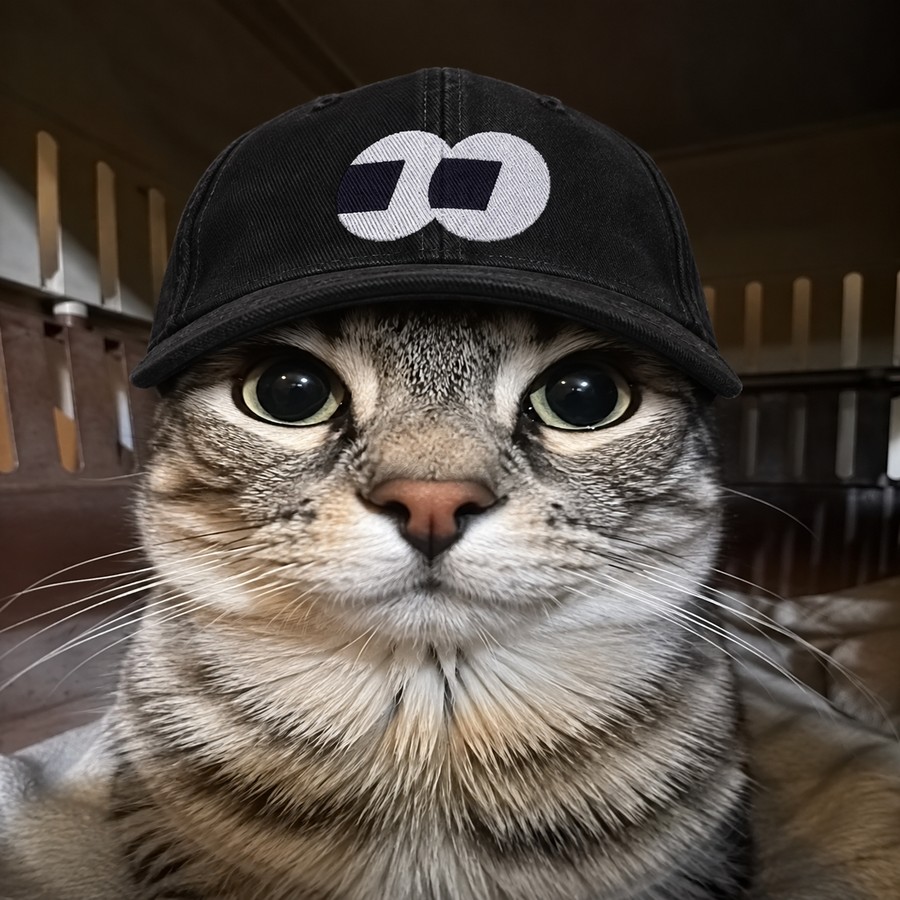 Fomo Cat wearing the logo cap